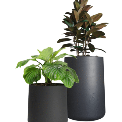 Combo 2 Macetas Gota: N40 y N55 Negro