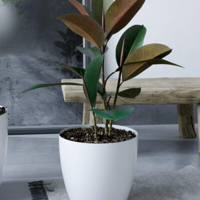 Pack x10 Macetas Premium N18 De 3 Litros