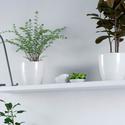 Pack x2 Macetas Premium N18 De 3 Litros