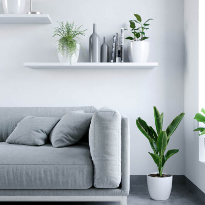 Maceta Premium N22 De 5,3 Litros