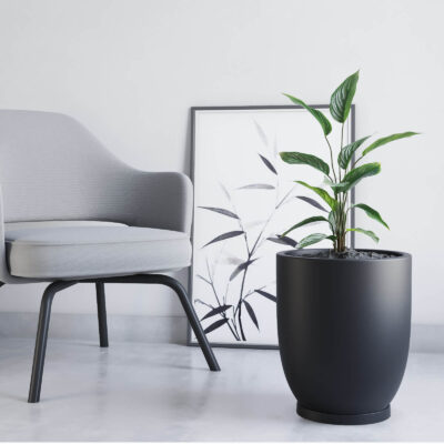 Maceta Copa N40 De 25 Litros Con Plato