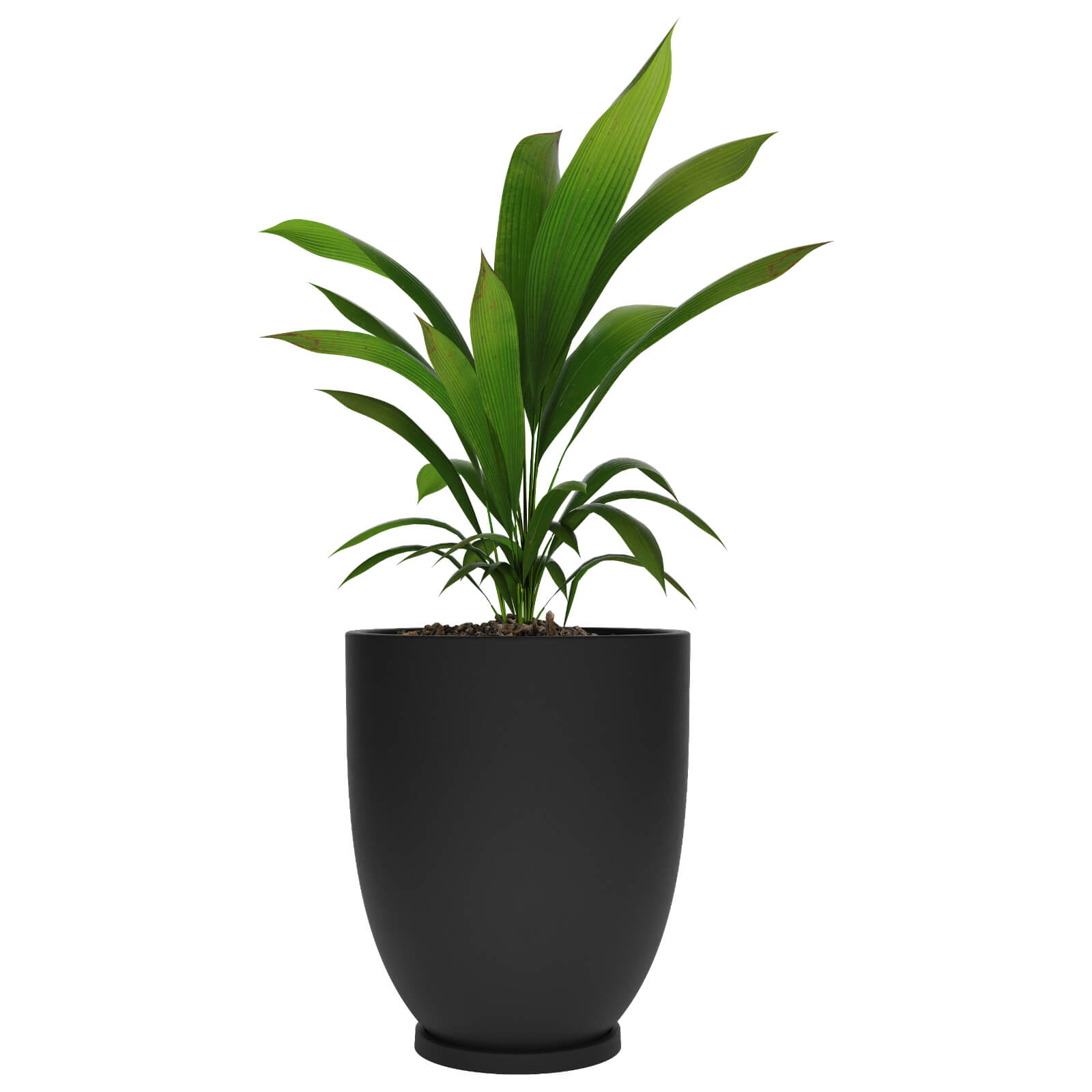 Maceta de plástico grande Amalfi Copa 55 con plato color negro 0